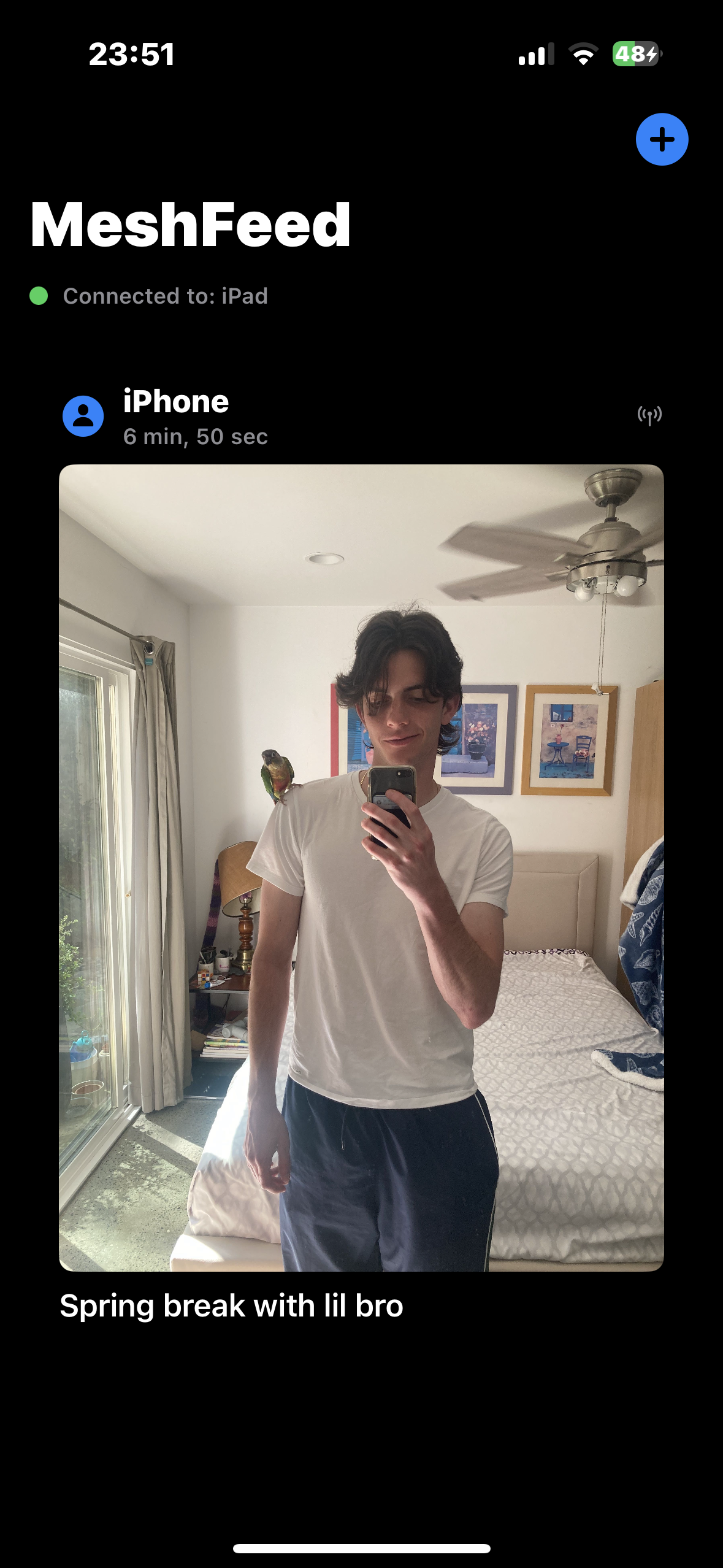 MeshFeed